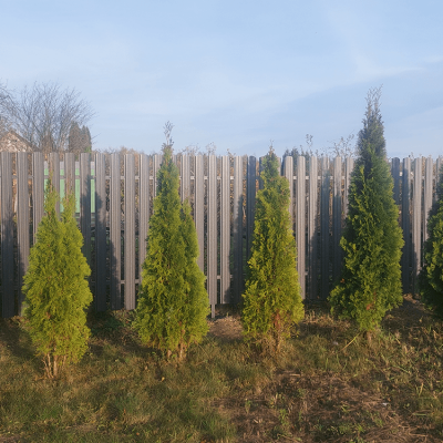 Установка забора из профлиста